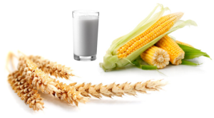 wheat corn and dairy